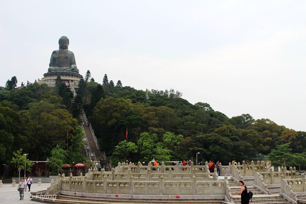 【香港遊記】中環的日與夜、勝香園美味番茄通粉、天壇大佛、尖沙咀翡翠拉麵小籠包、文華東方酒店、四季酒店 - 第36張圖 【香港遊記】中環的日與夜、勝香園美味番茄通粉、天壇大佛、尖沙咀翡翠拉麵小籠包、文華東方酒店、四季酒店