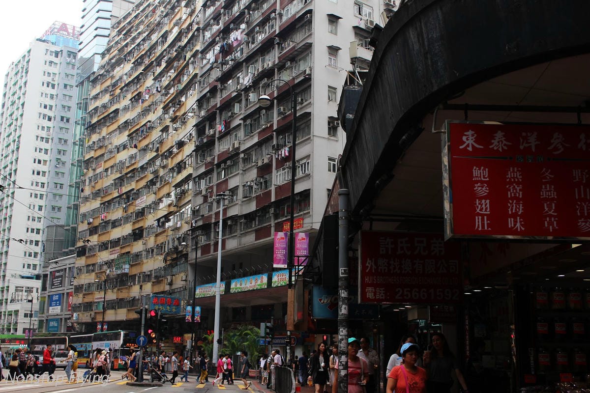 【香港遊記】鰂魚涌海山樓(怪獸大廈)、北角雞蛋仔、油街實現、太平山百萬夜景、翠華餐廳 - 第20張圖 【香港遊記】鰂魚涌海山樓(怪獸大廈)、北角雞蛋仔、油街實現、太平山百萬夜景、翠華餐廳