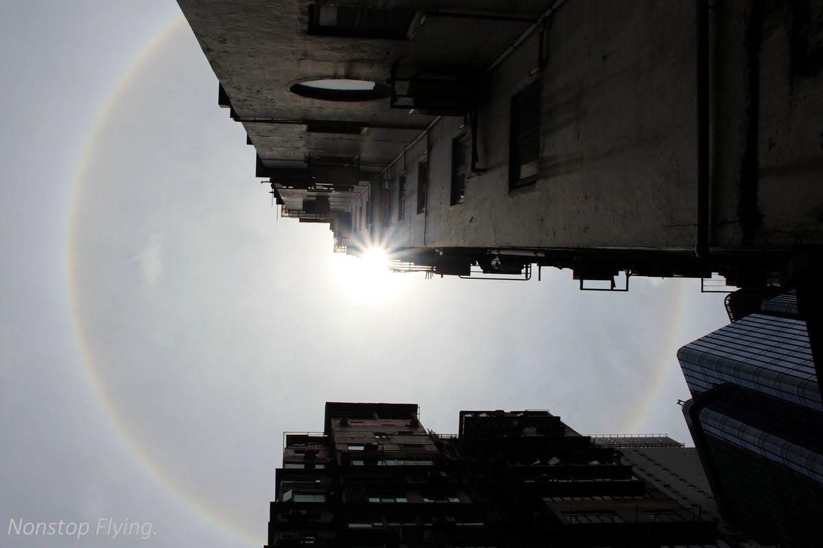 【香港遊記】歷史最久-半島酒店、電影主題-尖沙咀星光花園、寵物集散地-旺角金魚街、中環大會堂美心皇宮、銅鑼灣 - 第49張圖 【香港遊記】歷史最久-半島酒店、電影主題-尖沙咀星光花園、寵物集散地-旺角金魚街、中環大會堂美心皇宮、銅鑼灣