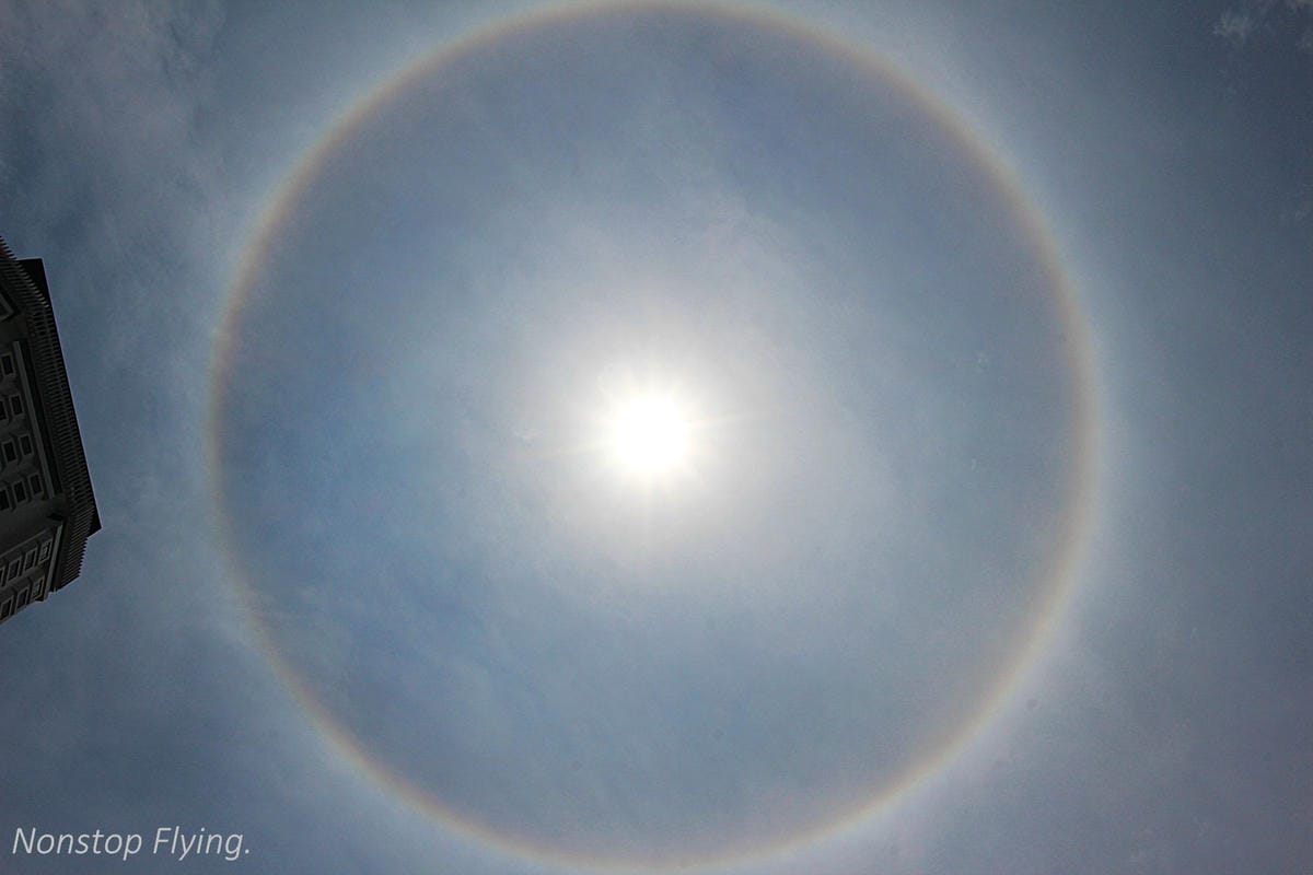 【香港遊記】歷史最久-半島酒店、電影主題-尖沙咀星光花園、寵物集散地-旺角金魚街、中環大會堂美心皇宮、銅鑼灣 - 第51張圖 【香港遊記】歷史最久-半島酒店、電影主題-尖沙咀星光花園、寵物集散地-旺角金魚街、中環大會堂美心皇宮、銅鑼灣