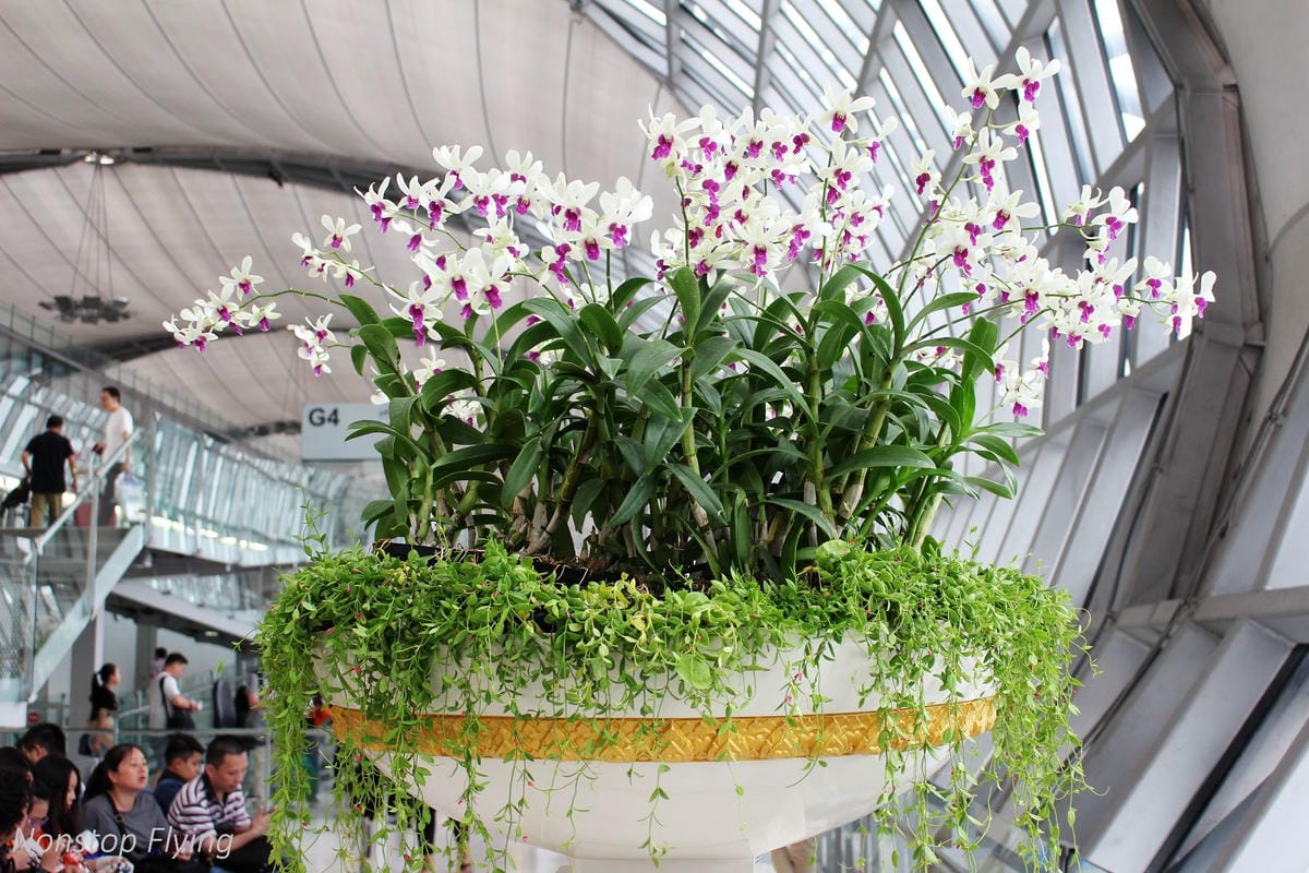 2017.06.29 國泰航空 CX754 曼谷BKK-香港HKG 飛行記錄 (A330-300經濟艙) - 第19張圖 2017.06.29 國泰航空 CX754 曼谷BKK-香港HKG 飛行記錄 (A330-300經濟艙)