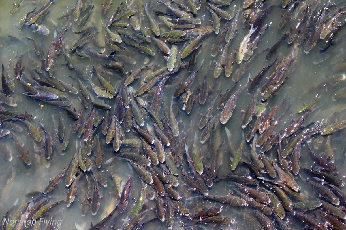 【葡萄牙】波多Porto – 9大精彩景點整理,兩天一夜散步推薦~讓人留連忘返的絕美港都! - 第54張圖 【葡萄牙】波多Porto – 9大精彩景點整理,兩天一夜散步推薦~讓人留連忘返的絕美港都!