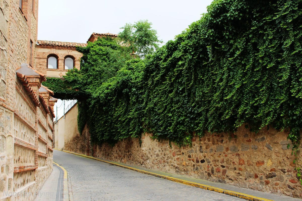 【西班牙】塞哥維亞Segovia 7個精彩景點分享 -一日遊輕鬆走訪經典水道橋、迪士尼城堡、美味烤乳豬 - 第52張圖 【西班牙】塞哥維亞Segovia 7個精彩景點分享 -一日遊輕鬆走訪經典水道橋、迪士尼城堡、美味烤乳豬