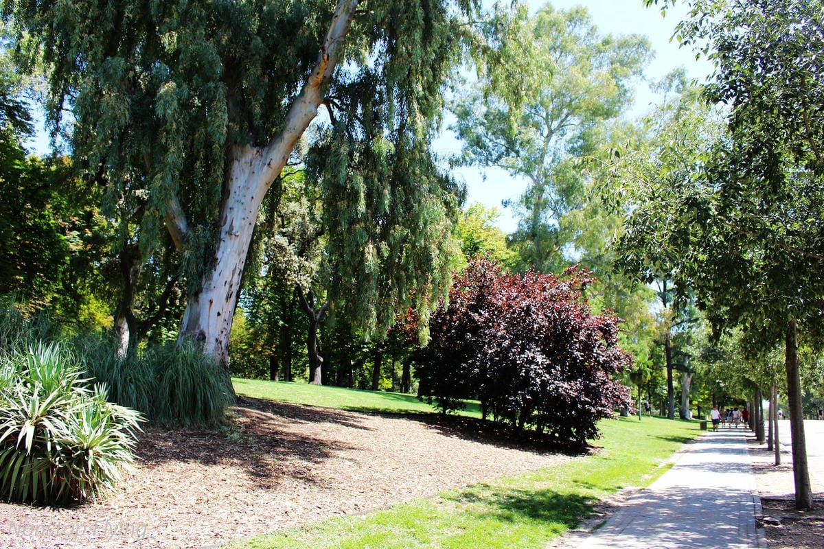 【西班牙】馬德里10大精彩景點整理,適合3天行程,馬德里不無聊~馬德里不思議! - 第55張圖 【西班牙】馬德里10大精彩景點整理,適合3天行程,馬德里不無聊~馬德里不思議!