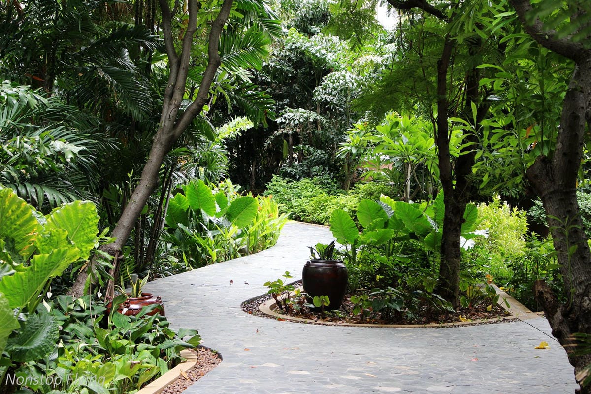 【泰國】曼谷康萊德Conrad Bangkok住宿心得 -含客房、Lounge、餐飲、休閒運動空間介紹