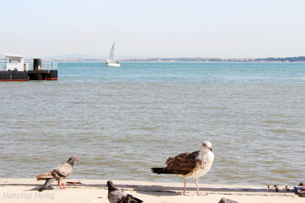 【葡萄牙】里斯本15大精彩景點整理,適合3天行程,探索航海時代輝煌港都! 有美景有世界遺產,物價低,高CP值! - 第37張圖 【葡萄牙】里斯本15大精彩景點整理,適合3天行程,探索航海時代輝煌港都! 有美景有世界遺產,物價低,高CP值!