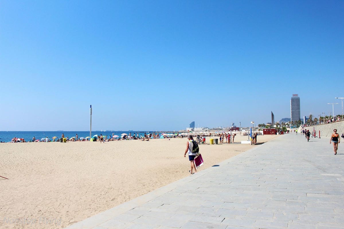 【西班牙】巴塞隆納15大精彩景點整理,建議停留5天以上,盡享大師高第傑作、世界遺產奇觀、道地美食 - 第32張圖 【西班牙】巴塞隆納15大精彩景點整理,建議停留5天以上,盡享大師高第傑作、世界遺產奇觀、道地美食