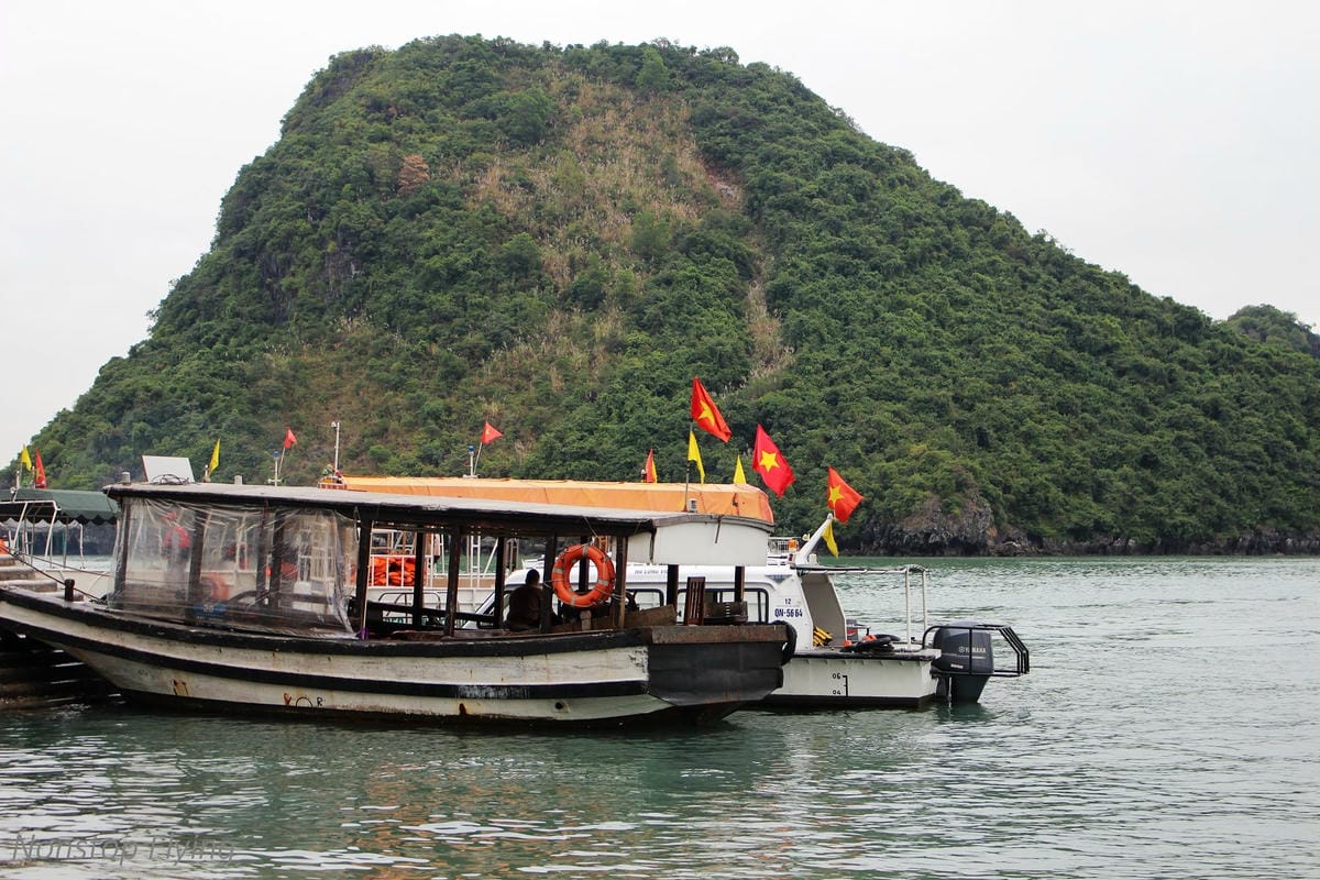 【越南】下龍灣Paradise Luxury Cruise頂級天堂華儷號郵輪兩天一夜 – 豪華陽台房、高級餐點、豐富節目、登島體驗 - 第85張圖 【越南】下龍灣Paradise Luxury Cruise頂級天堂華儷號郵輪兩天一夜 – 豪華陽台房、高級餐點、豐富節目、登島體驗