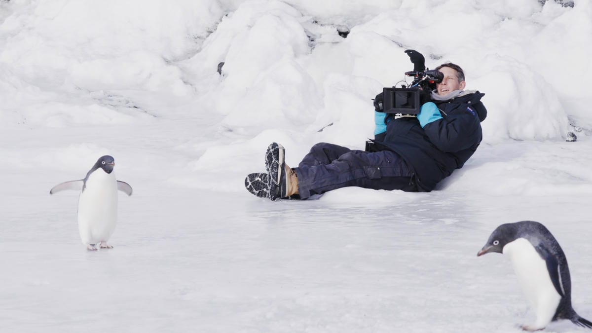 紐西蘭航空發表世界上最「Cool」飛行安全宣導短片 -南極壯麗美景全入鏡! - 第7張圖 紐西蘭航空發表世界上最「Cool」飛行安全宣導短片 -南極壯麗美景全入鏡!