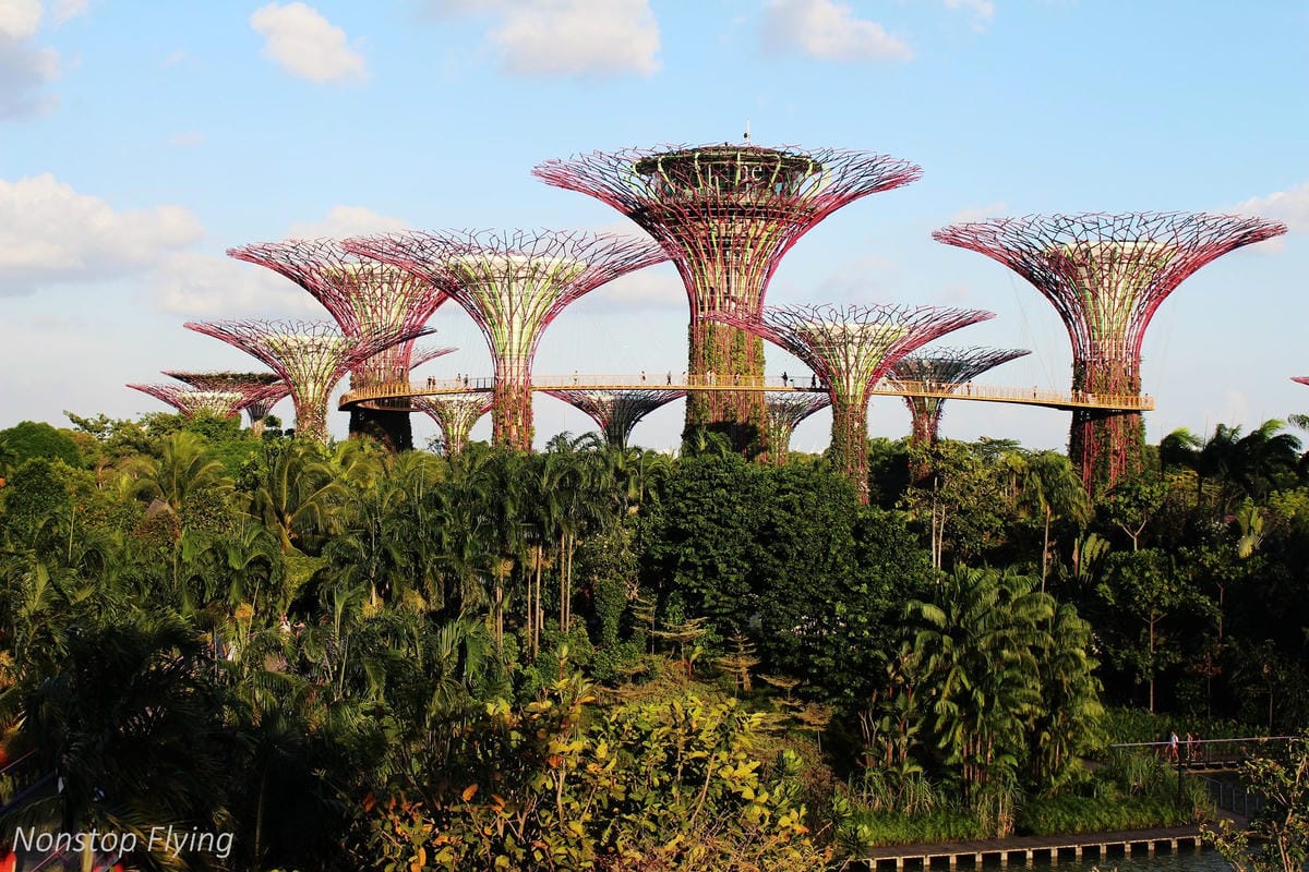 【新加坡食旅】濱海灣金沙酒店觀景台、超級樹燈光秀、照亮濱海灣燈光藝術節、328加東叻沙、五星海南雞飯 - 第9張圖 【新加坡食旅】濱海灣金沙酒店觀景台、超級樹燈光秀、照亮濱海灣燈光藝術節、328加東叻沙、五星海南雞飯