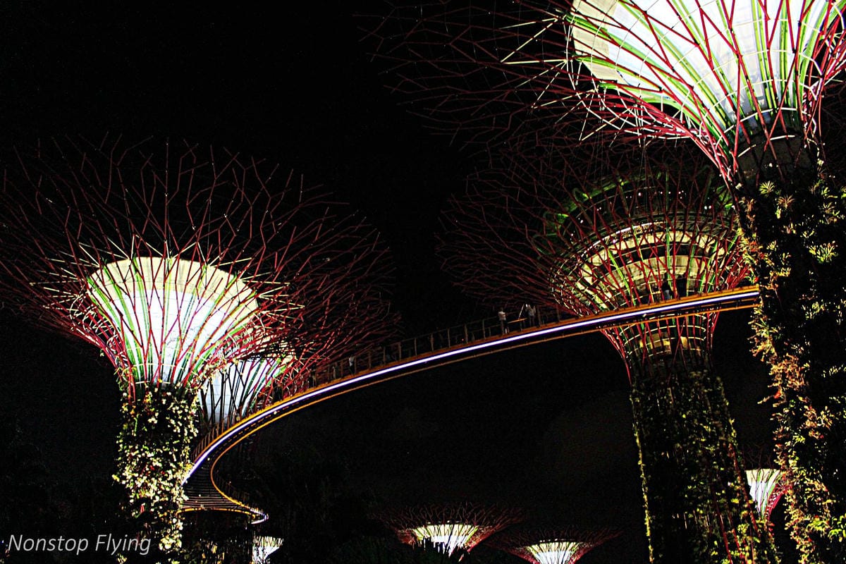 【新加坡食旅】濱海灣金沙酒店觀景台、超級樹燈光秀、照亮濱海灣燈光藝術節、328加東叻沙、五星海南雞飯