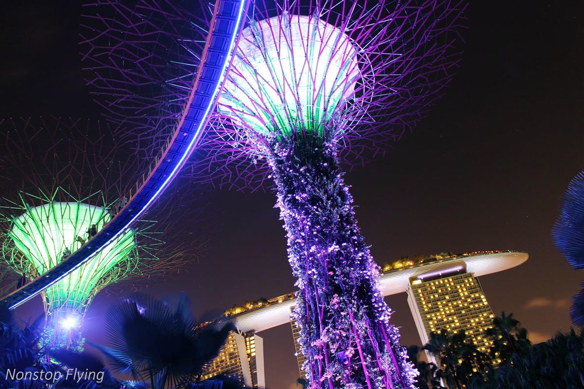 【新加坡食旅】濱海灣金沙酒店觀景台、超級樹燈光秀、照亮濱海灣燈光藝術節、328加東叻沙、五星海南雞飯