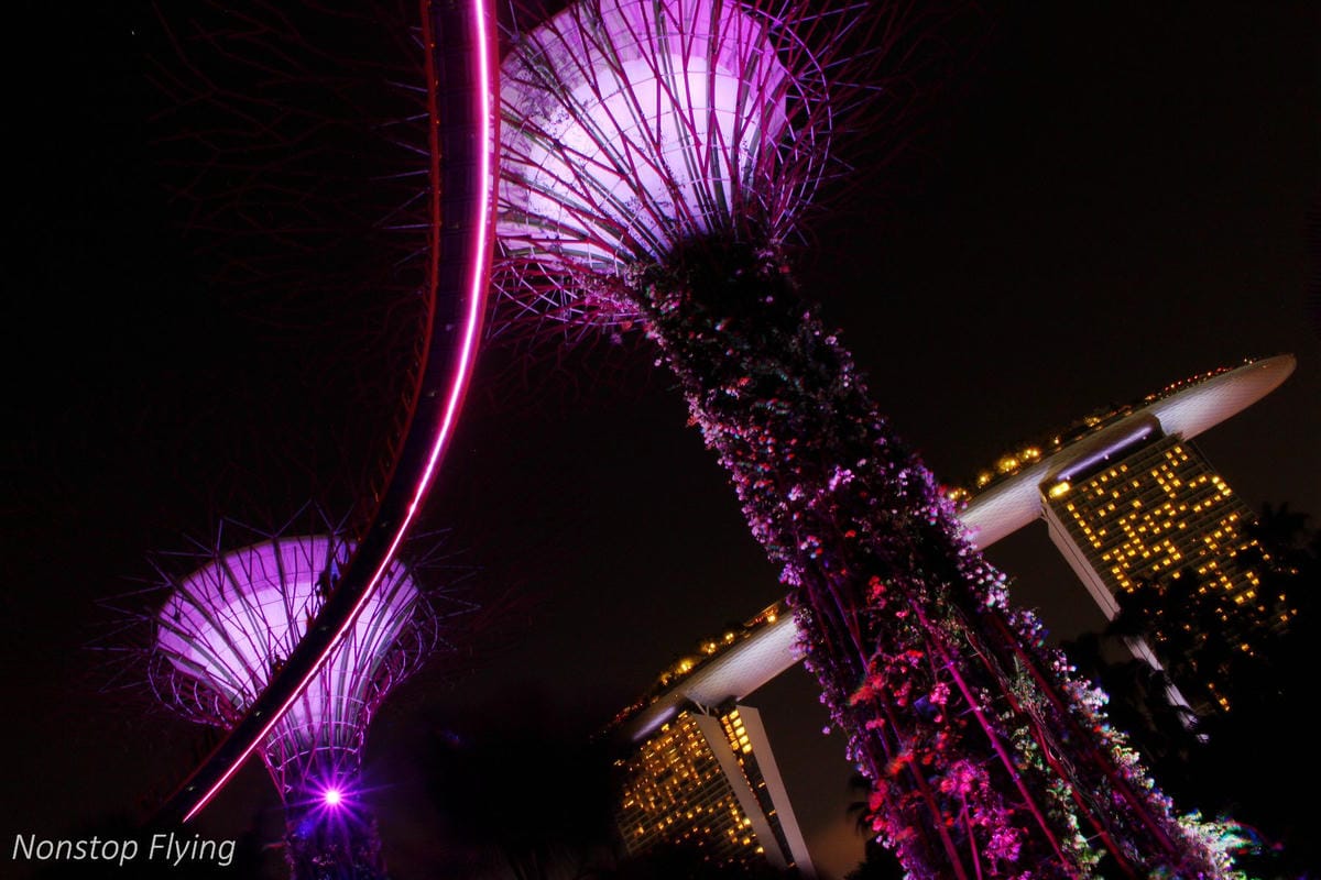 【新加坡食旅】濱海灣金沙酒店觀景台、超級樹燈光秀、照亮濱海灣燈光藝術節、328加東叻沙、五星海南雞飯