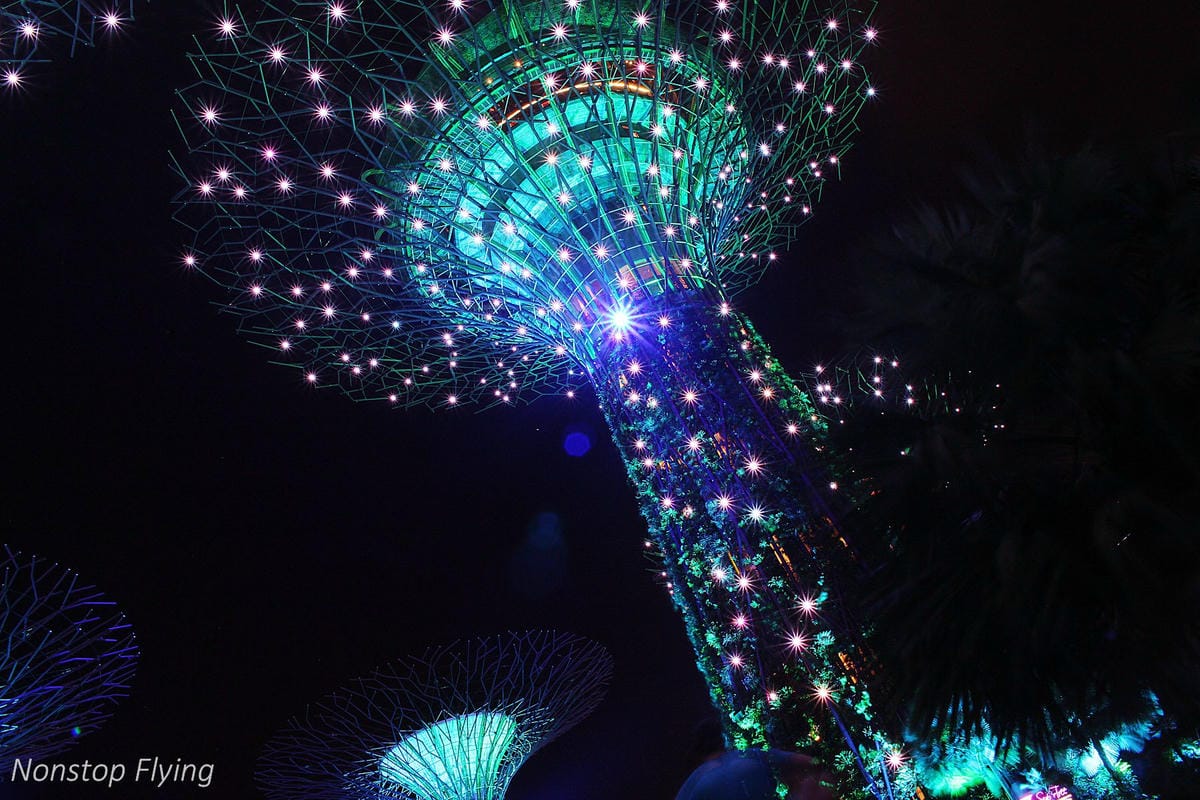 【新加坡食旅】濱海灣金沙酒店觀景台、超級樹燈光秀、照亮濱海灣燈光藝術節、328加東叻沙、五星海南雞飯