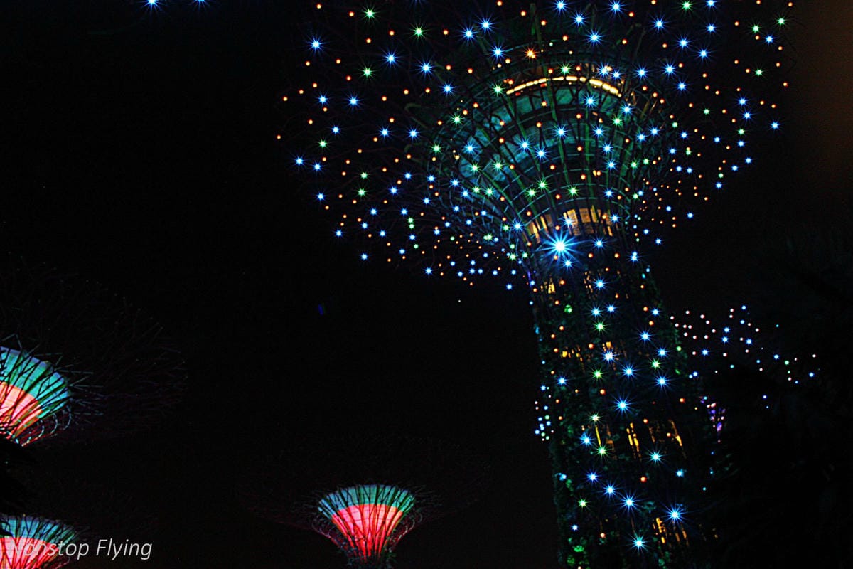 【新加坡食旅】濱海灣金沙酒店觀景台、超級樹燈光秀、照亮濱海灣燈光藝術節、328加東叻沙、五星海南雞飯