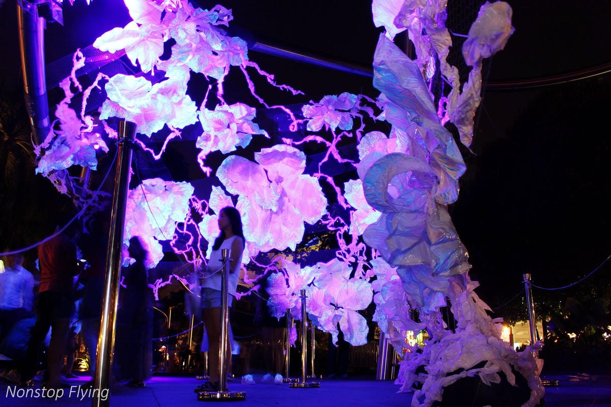 【新加坡食旅】濱海灣金沙酒店觀景台、超級樹燈光秀、照亮濱海灣燈光藝術節、328加東叻沙、五星海南雞飯