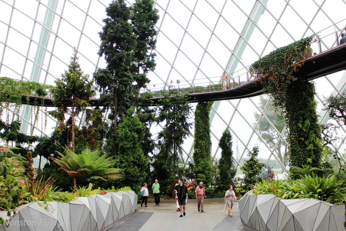 【新加坡食旅】濱海灣花園雙冷室、新加坡動物園(River Safari+Night Safari)、紐頓熟食中心、土司工坊 - 第26張圖 【新加坡食旅】濱海灣花園雙冷室、新加坡動物園(River Safari+Night Safari)、紐頓熟食中心、土司工坊