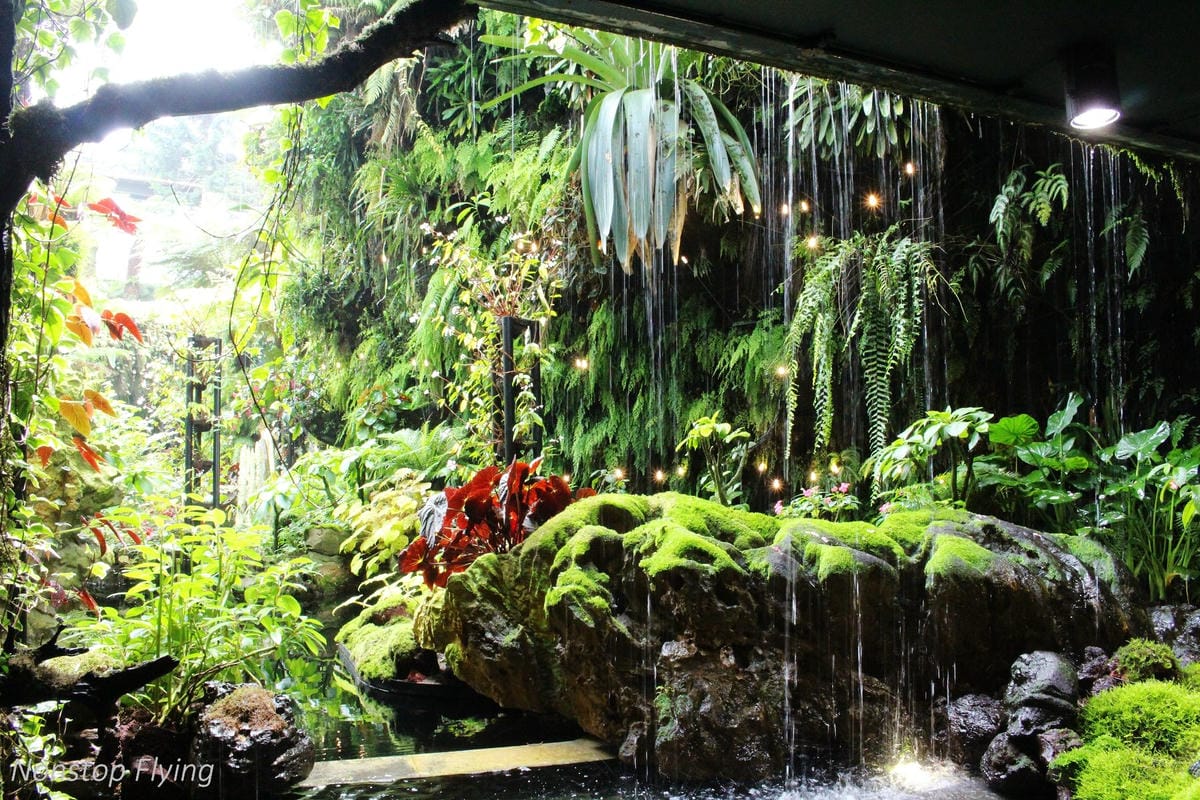 【新加坡食旅】濱海灣花園雙冷室、新加坡動物園(River Safari+Night Safari)、紐頓熟食中心、土司工坊