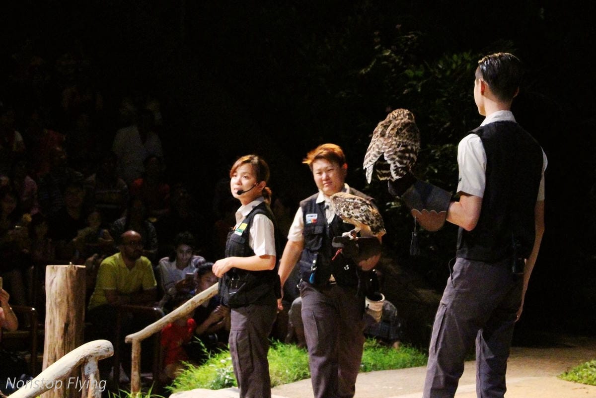 【新加坡食旅】濱海灣花園雙冷室、新加坡動物園(River Safari+Night Safari)、紐頓熟食中心、土司工坊 - 第76張圖 【新加坡食旅】濱海灣花園雙冷室、新加坡動物園(River Safari+Night Safari)、紐頓熟食中心、土司工坊