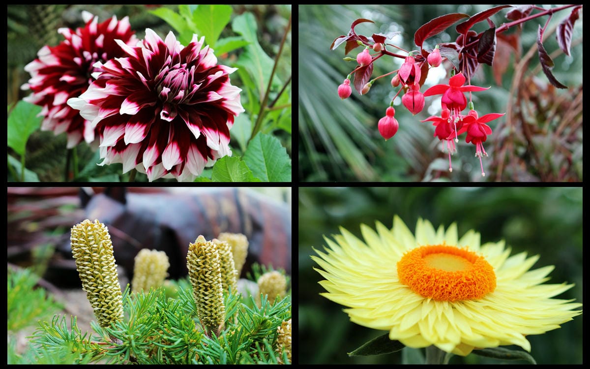 【新加坡食旅】濱海灣花園雙冷室、新加坡動物園(River Safari+Night Safari)、紐頓熟食中心、土司工坊 - 第11張圖 【新加坡食旅】濱海灣花園雙冷室、新加坡動物園(River Safari+Night Safari)、紐頓熟食中心、土司工坊