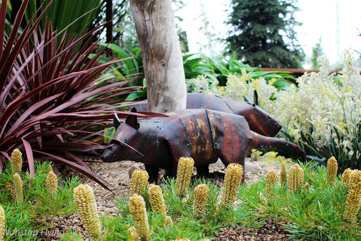 【新加坡食旅】濱海灣花園雙冷室、新加坡動物園(River Safari+Night Safari)、紐頓熟食中心、土司工坊 - 第13張圖 【新加坡食旅】濱海灣花園雙冷室、新加坡動物園(River Safari+Night Safari)、紐頓熟食中心、土司工坊