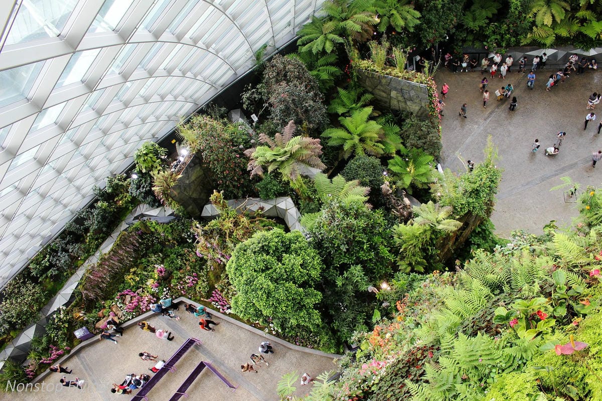 【新加坡食旅】濱海灣花園雙冷室、新加坡動物園(River Safari+Night Safari)、紐頓熟食中心、土司工坊 - 第37張圖 【新加坡食旅】濱海灣花園雙冷室、新加坡動物園(River Safari+Night Safari)、紐頓熟食中心、土司工坊