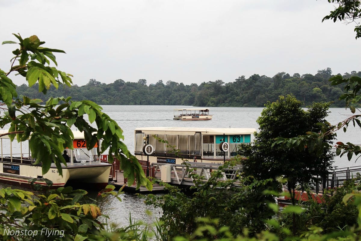 【新加坡食旅】濱海灣花園雙冷室、新加坡動物園(River Safari+Night Safari)、紐頓熟食中心、土司工坊 - 第62張圖 【新加坡食旅】濱海灣花園雙冷室、新加坡動物園(River Safari+Night Safari)、紐頓熟食中心、土司工坊