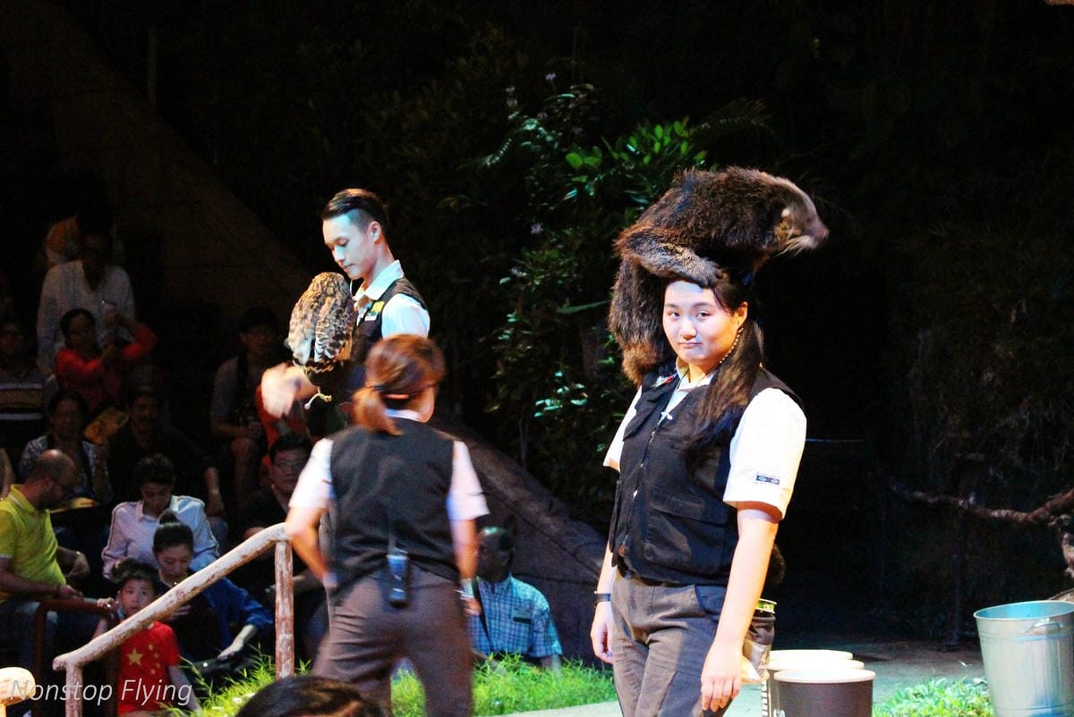 【新加坡食旅】濱海灣花園雙冷室、新加坡動物園(River Safari+Night Safari)、紐頓熟食中心、土司工坊 - 第77張圖 【新加坡食旅】濱海灣花園雙冷室、新加坡動物園(River Safari+Night Safari)、紐頓熟食中心、土司工坊