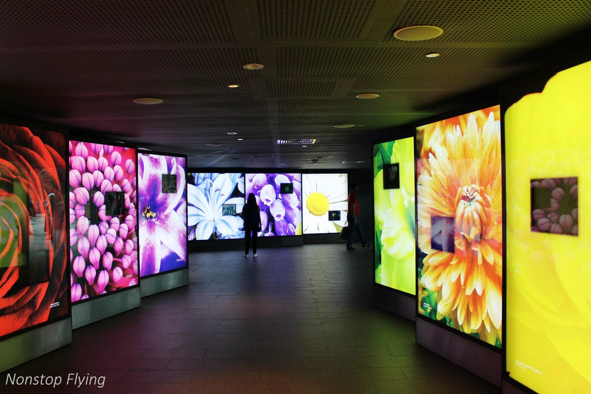 【新加坡食旅】濱海灣花園雙冷室、新加坡動物園(River Safari+Night Safari)、紐頓熟食中心、土司工坊 - 第6張圖 【新加坡食旅】濱海灣花園雙冷室、新加坡動物園(River Safari+Night Safari)、紐頓熟食中心、土司工坊