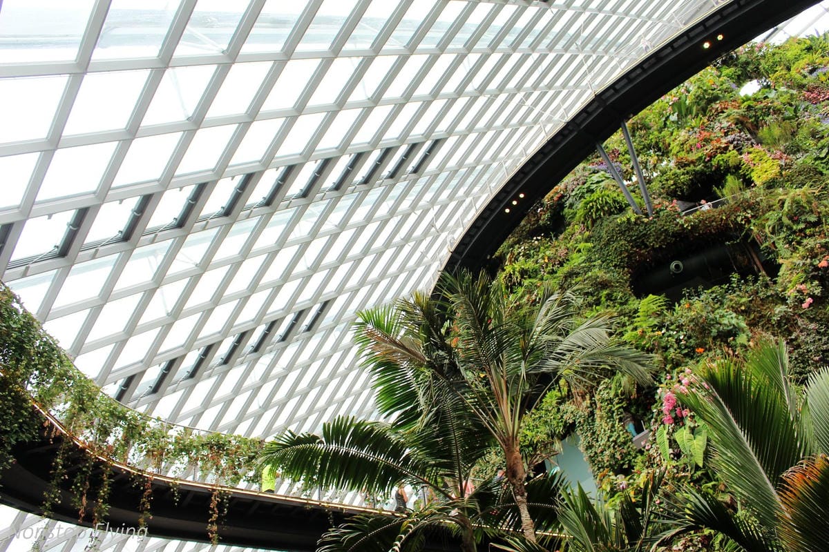 【新加坡食旅】濱海灣花園雙冷室、新加坡動物園(River Safari+Night Safari)、紐頓熟食中心、土司工坊 - 第28張圖 【新加坡食旅】濱海灣花園雙冷室、新加坡動物園(River Safari+Night Safari)、紐頓熟食中心、土司工坊