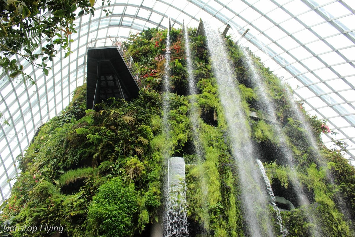 【新加坡食旅】濱海灣花園雙冷室、新加坡動物園(River Safari+Night Safari)、紐頓熟食中心、土司工坊 - 第24張圖 【新加坡食旅】濱海灣花園雙冷室、新加坡動物園(River Safari+Night Safari)、紐頓熟食中心、土司工坊