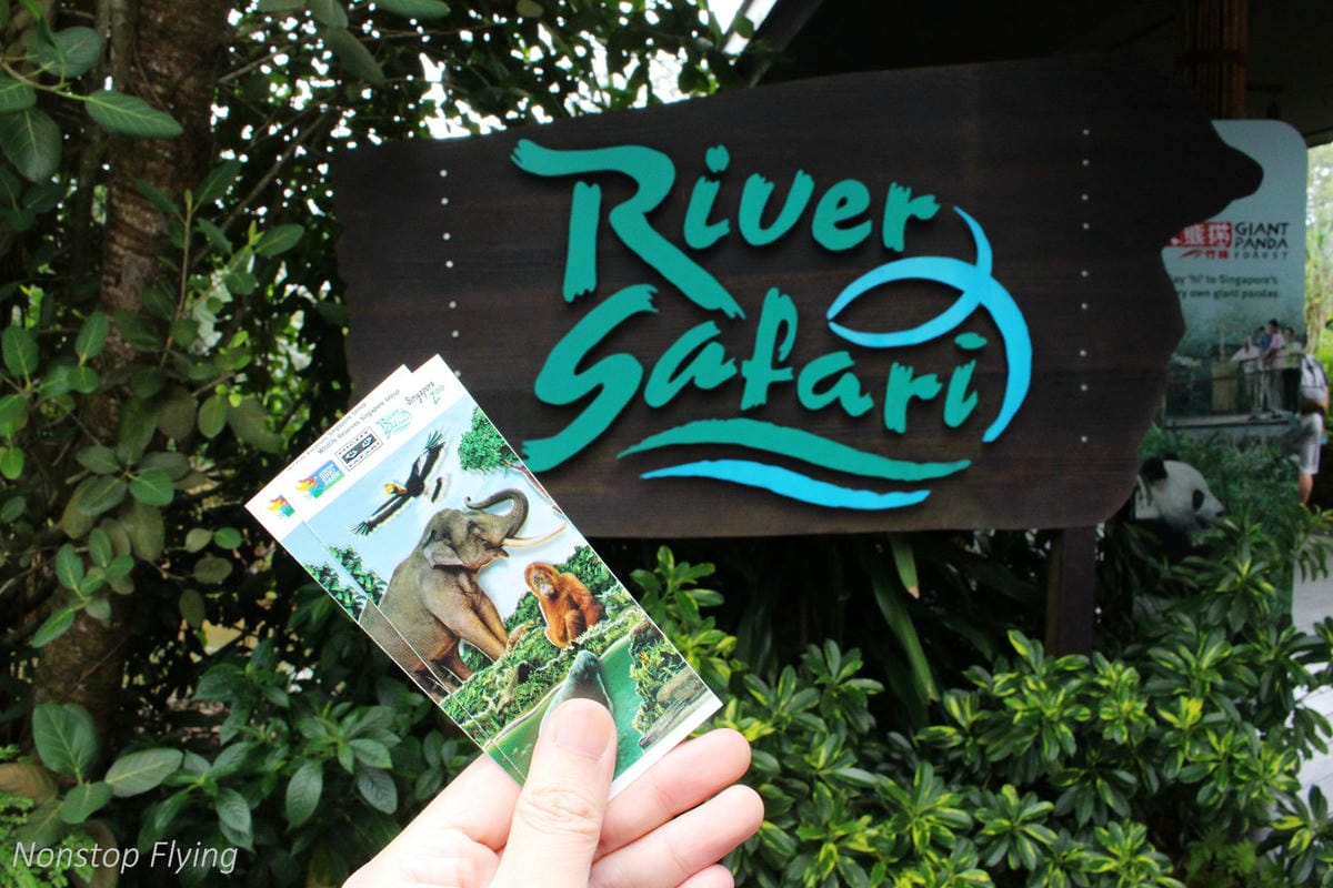 【新加坡食旅】濱海灣花園雙冷室、新加坡動物園(River Safari+Night Safari)、紐頓熟食中心、土司工坊 - 第56張圖 【新加坡食旅】濱海灣花園雙冷室、新加坡動物園(River Safari+Night Safari)、紐頓熟食中心、土司工坊