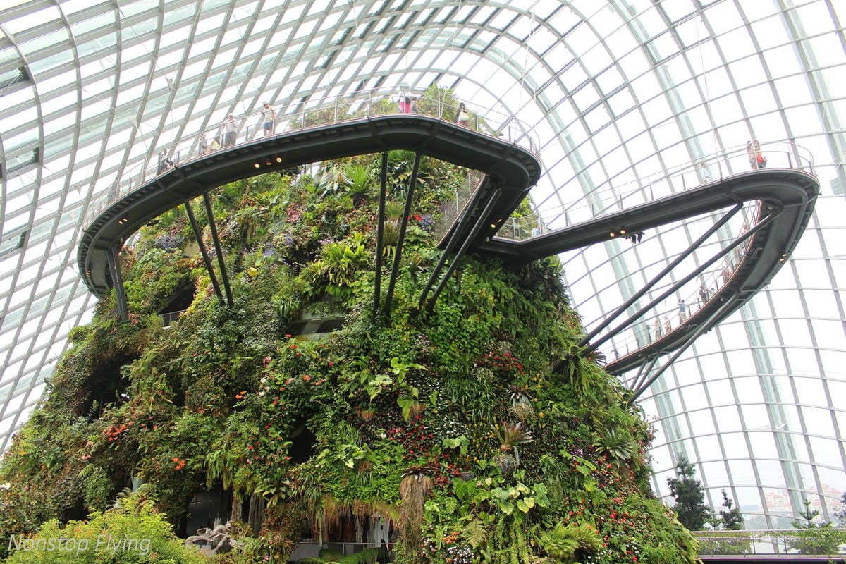 【新加坡食旅】濱海灣花園雙冷室、新加坡動物園(River Safari+Night Safari)、紐頓熟食中心、土司工坊 - 第42張圖 【新加坡食旅】濱海灣花園雙冷室、新加坡動物園(River Safari+Night Safari)、紐頓熟食中心、土司工坊