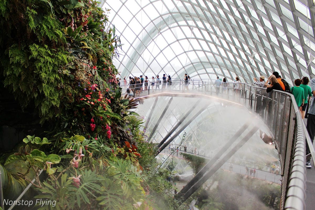 【新加坡食旅】濱海灣花園雙冷室、新加坡動物園(River Safari+Night Safari)、紐頓熟食中心、土司工坊 - 第39張圖 【新加坡食旅】濱海灣花園雙冷室、新加坡動物園(River Safari+Night Safari)、紐頓熟食中心、土司工坊