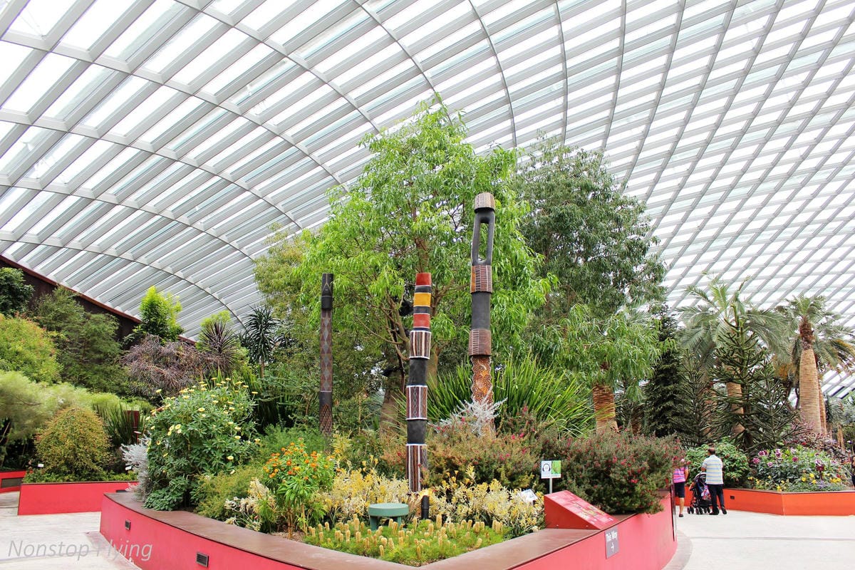 【新加坡食旅】濱海灣花園雙冷室、新加坡動物園(River Safari+Night Safari)、紐頓熟食中心、土司工坊 - 第9張圖 【新加坡食旅】濱海灣花園雙冷室、新加坡動物園(River Safari+Night Safari)、紐頓熟食中心、土司工坊