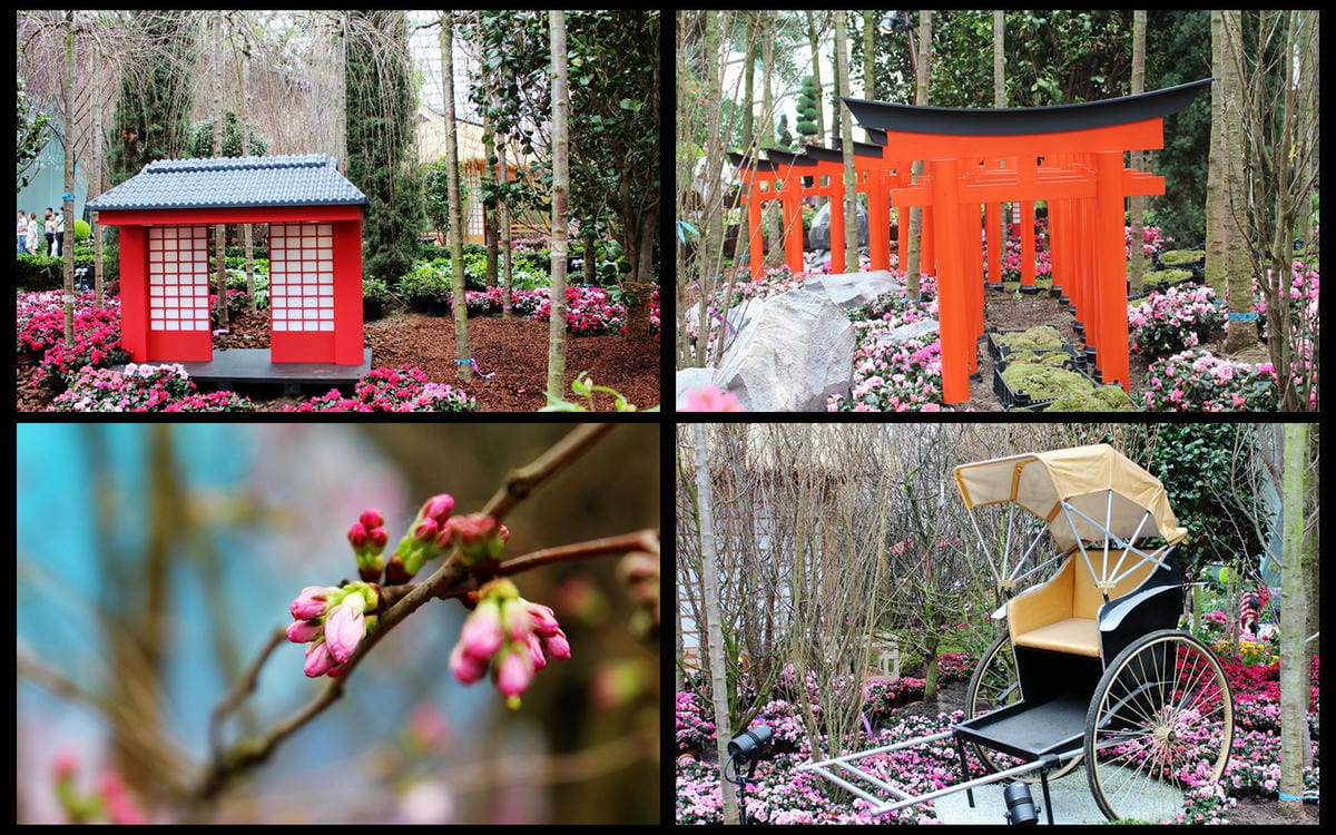 【新加坡食旅】濱海灣花園雙冷室、新加坡動物園(River Safari+Night Safari)、紐頓熟食中心、土司工坊 - 第21張圖 【新加坡食旅】濱海灣花園雙冷室、新加坡動物園(River Safari+Night Safari)、紐頓熟食中心、土司工坊