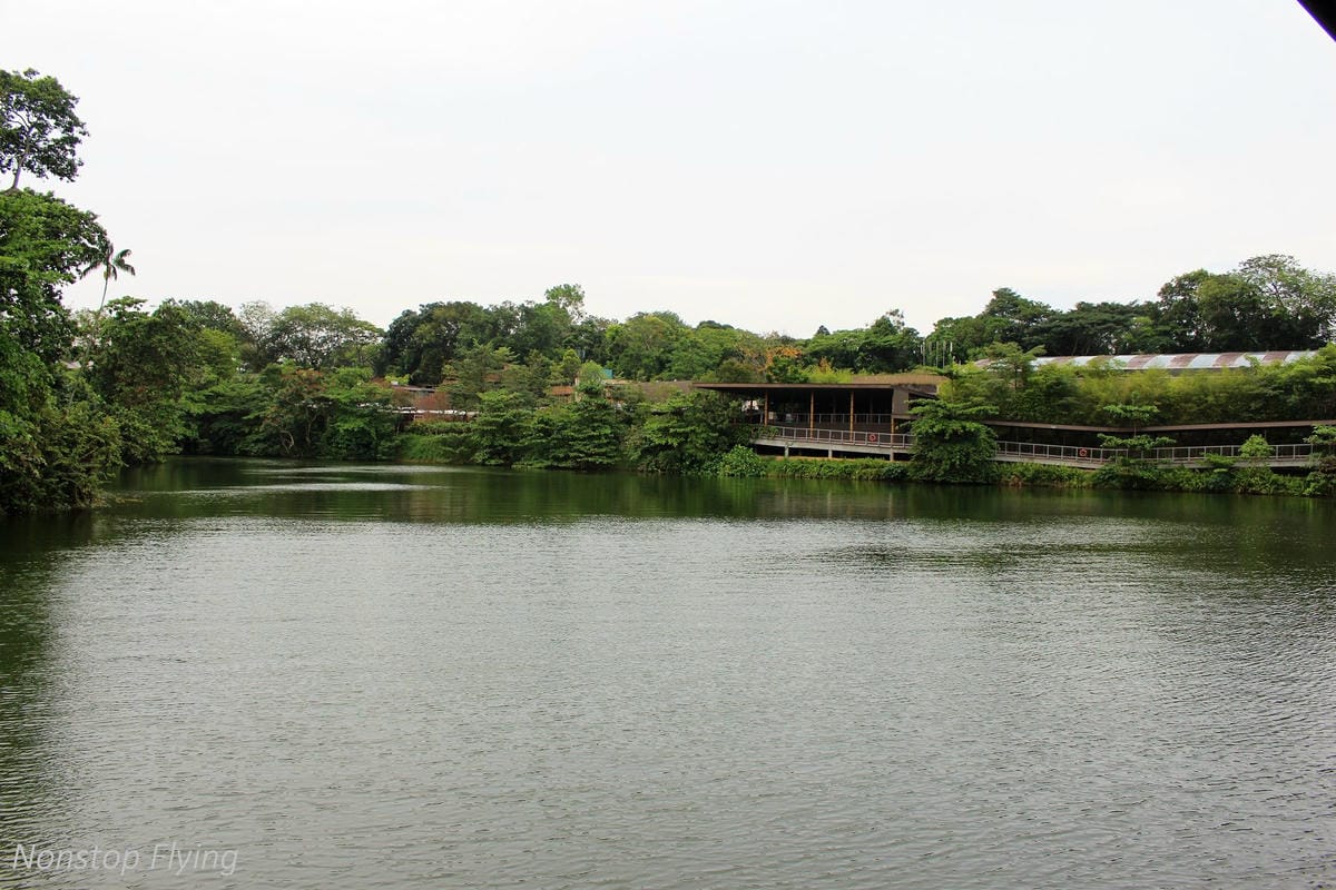 【新加坡食旅】濱海灣花園雙冷室、新加坡動物園(River Safari+Night Safari)、紐頓熟食中心、土司工坊 - 第63張圖 【新加坡食旅】濱海灣花園雙冷室、新加坡動物園(River Safari+Night Safari)、紐頓熟食中心、土司工坊