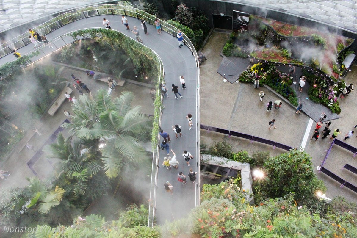 【新加坡食旅】濱海灣花園雙冷室、新加坡動物園(River Safari+Night Safari)、紐頓熟食中心、土司工坊 - 第38張圖 【新加坡食旅】濱海灣花園雙冷室、新加坡動物園(River Safari+Night Safari)、紐頓熟食中心、土司工坊