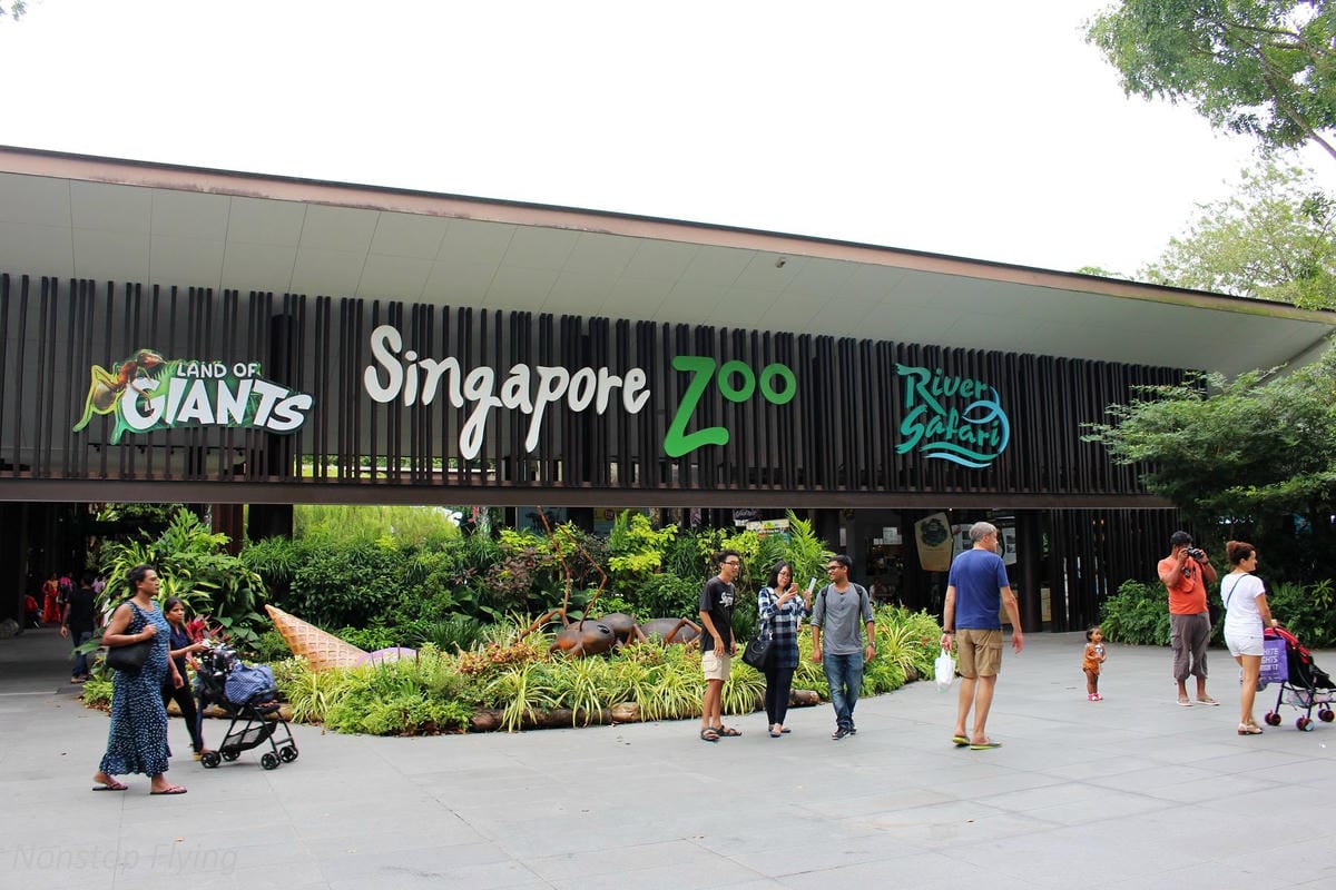 【新加坡食旅】濱海灣花園雙冷室、新加坡動物園(River Safari+Night Safari)、紐頓熟食中心、土司工坊 - 第54張圖 【新加坡食旅】濱海灣花園雙冷室、新加坡動物園(River Safari+Night Safari)、紐頓熟食中心、土司工坊