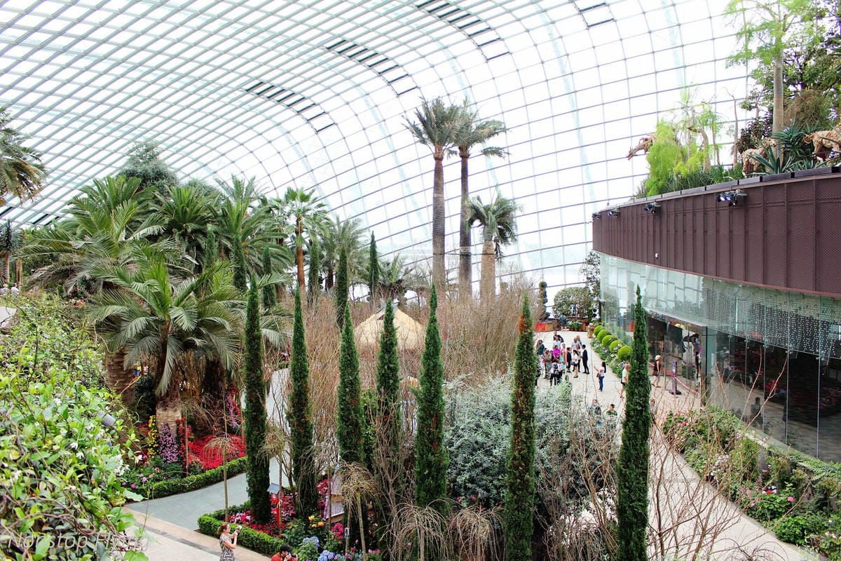 【新加坡食旅】濱海灣花園雙冷室、新加坡動物園(River Safari+Night Safari)、紐頓熟食中心、土司工坊 - 第10張圖 【新加坡食旅】濱海灣花園雙冷室、新加坡動物園(River Safari+Night Safari)、紐頓熟食中心、土司工坊