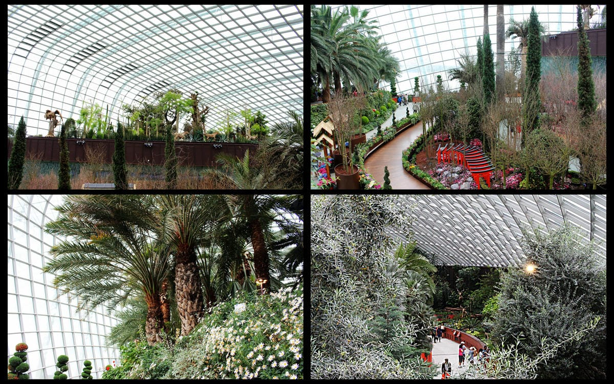 【新加坡食旅】濱海灣花園雙冷室、新加坡動物園(River Safari+Night Safari)、紐頓熟食中心、土司工坊