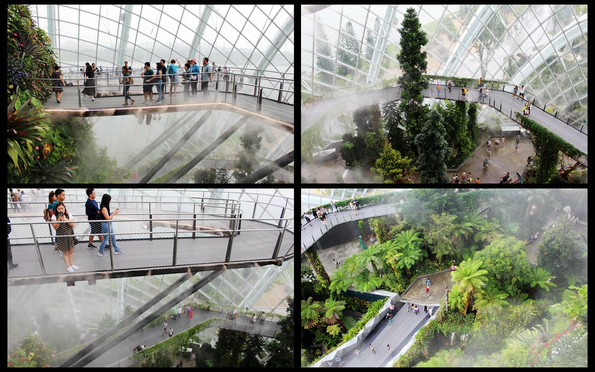 【新加坡食旅】濱海灣花園雙冷室、新加坡動物園(River Safari+Night Safari)、紐頓熟食中心、土司工坊