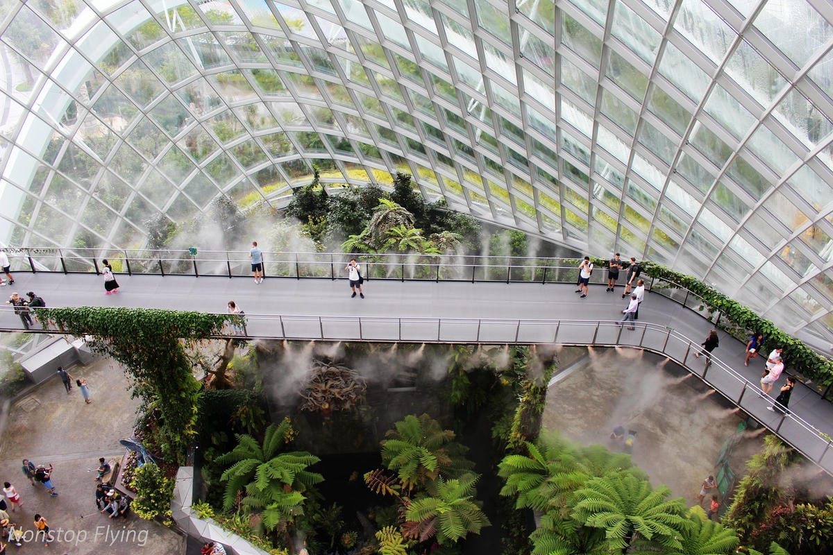 【新加坡食旅】濱海灣花園雙冷室、新加坡動物園(River Safari+Night Safari)、紐頓熟食中心、土司工坊 - 第41張圖 【新加坡食旅】濱海灣花園雙冷室、新加坡動物園(River Safari+Night Safari)、紐頓熟食中心、土司工坊