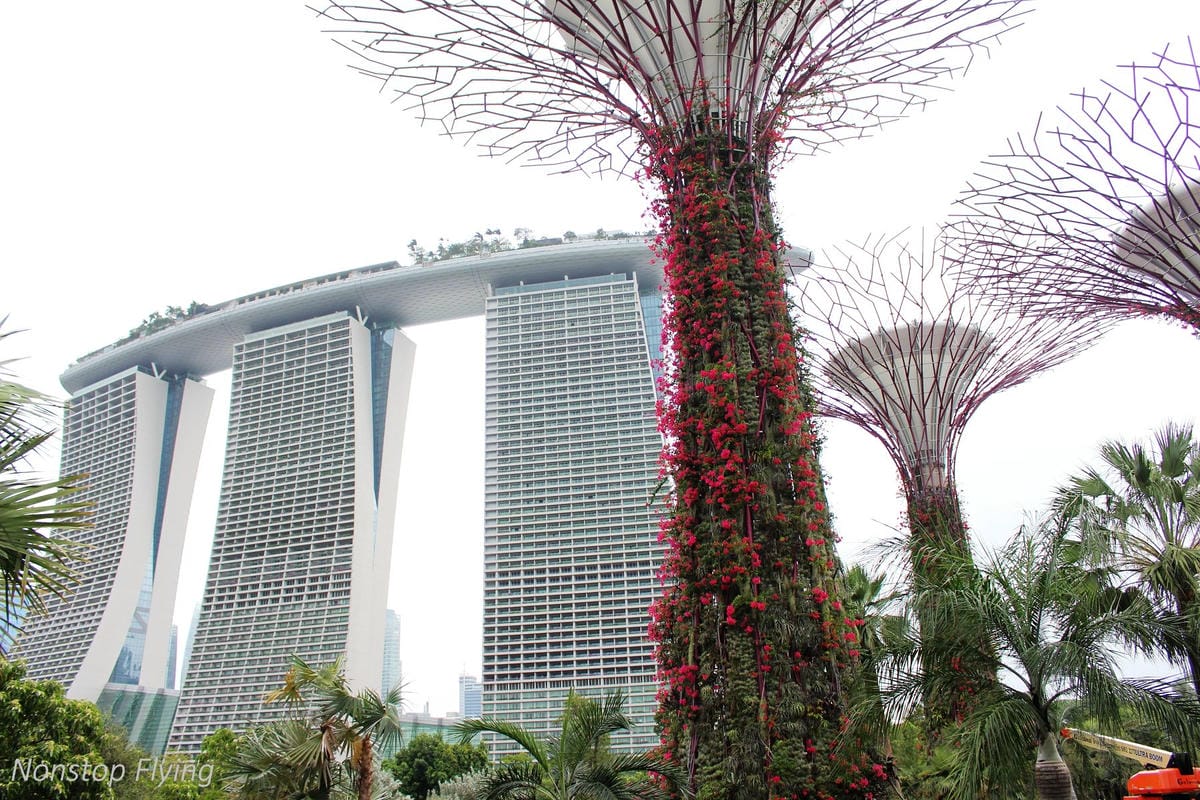 【新加坡食旅】濱海灣花園雙冷室、新加坡動物園(River Safari+Night Safari)、紐頓熟食中心、土司工坊 - 第3張圖 【新加坡食旅】濱海灣花園雙冷室、新加坡動物園(River Safari+Night Safari)、紐頓熟食中心、土司工坊