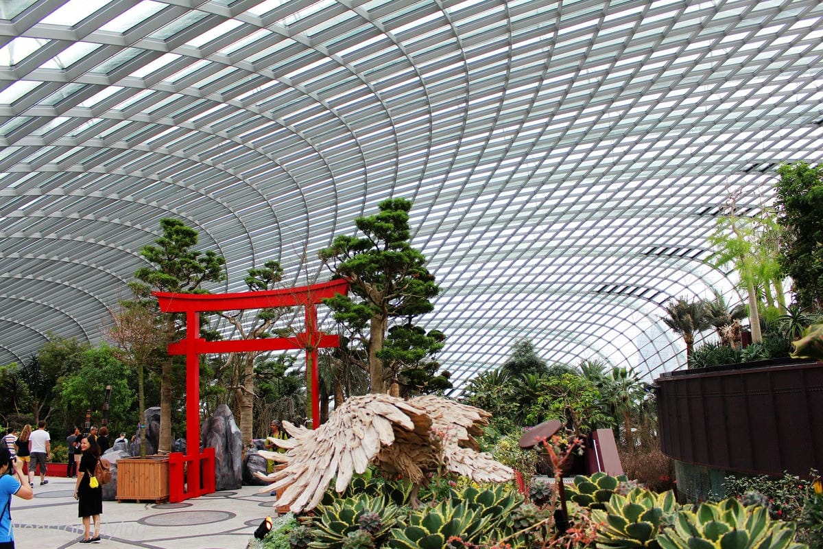 【新加坡食旅】濱海灣花園雙冷室、新加坡動物園(River Safari+Night Safari)、紐頓熟食中心、土司工坊 - 第7張圖 【新加坡食旅】濱海灣花園雙冷室、新加坡動物園(River Safari+Night Safari)、紐頓熟食中心、土司工坊