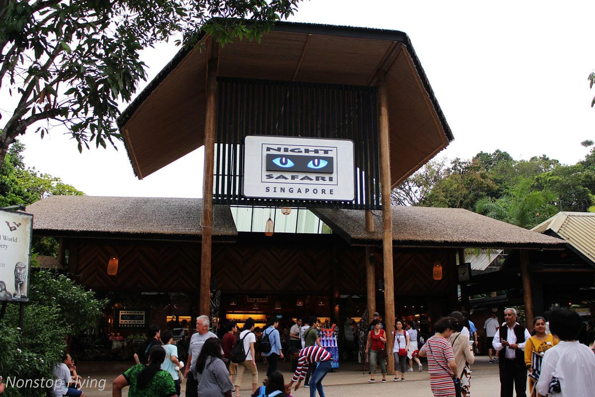 【新加坡食旅】濱海灣花園雙冷室、新加坡動物園(River Safari+Night Safari)、紐頓熟食中心、土司工坊 - 第72張圖 【新加坡食旅】濱海灣花園雙冷室、新加坡動物園(River Safari+Night Safari)、紐頓熟食中心、土司工坊