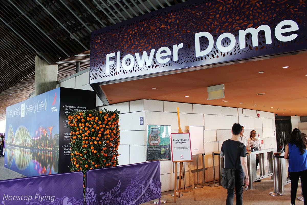 【新加坡食旅】濱海灣花園雙冷室、新加坡動物園(River Safari+Night Safari)、紐頓熟食中心、土司工坊 - 第5張圖 【新加坡食旅】濱海灣花園雙冷室、新加坡動物園(River Safari+Night Safari)、紐頓熟食中心、土司工坊