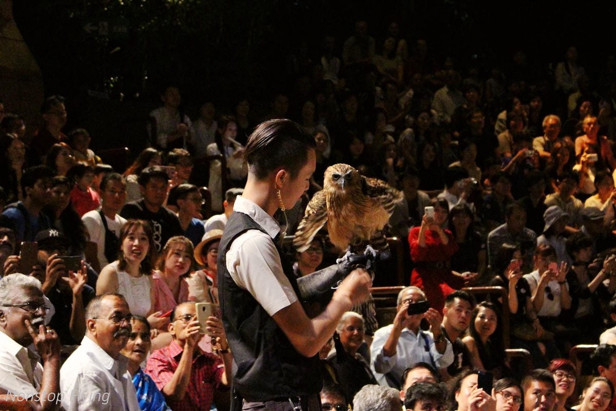 【新加坡食旅】濱海灣花園雙冷室、新加坡動物園(River Safari+Night Safari)、紐頓熟食中心、土司工坊 - 第75張圖 【新加坡食旅】濱海灣花園雙冷室、新加坡動物園(River Safari+Night Safari)、紐頓熟食中心、土司工坊