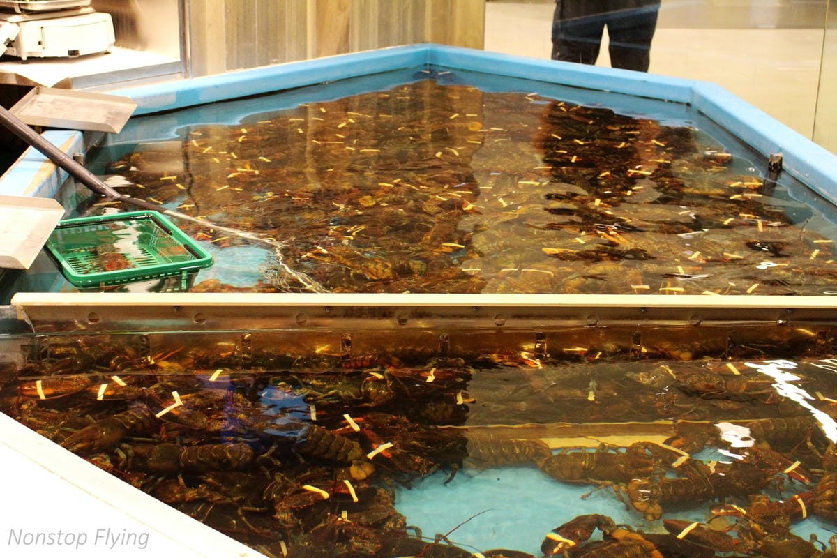 2018.05.17 加拿大航空 AC8893 哈利法克斯-波士頓 Dash 8-400Q飛行記錄，含哈利法克斯機場簡介