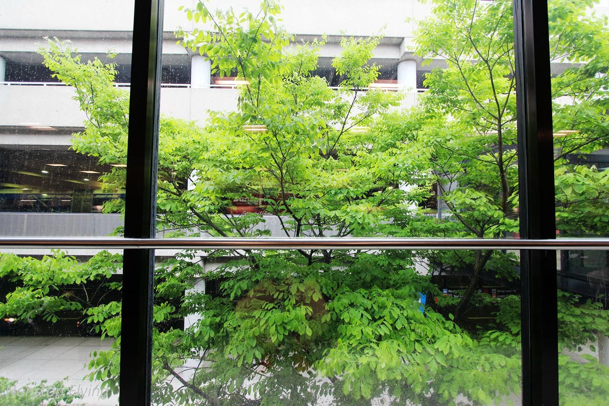 2018.05.19 加拿大航空 AC533 波士頓-溫哥華 A319-100飛行記錄，含溫哥華機場入境分享